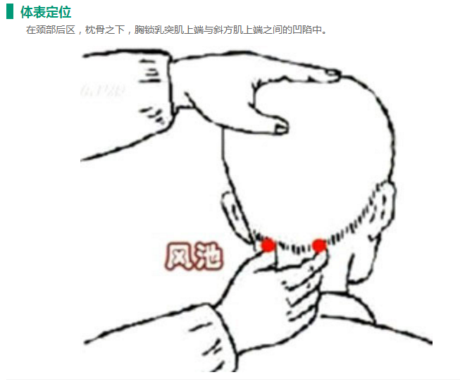 風(fēng)池穴