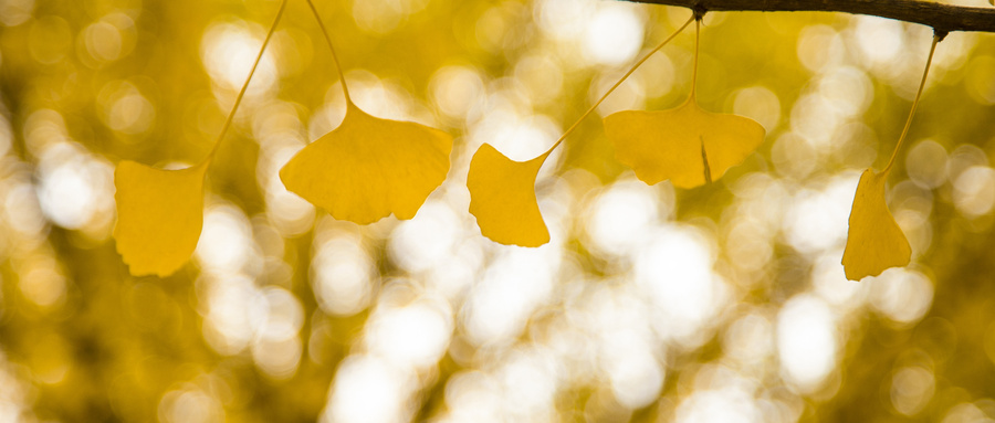 白內(nèi)障癥狀