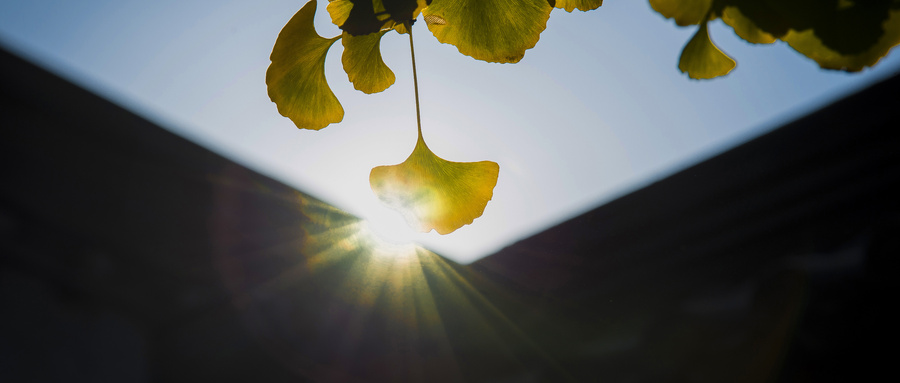 白內(nèi)障手術(shù)